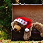 Clear the Clutter: 5 Ways PPC Advertising Can Boost Your Bradenton Junk Hauling Business!