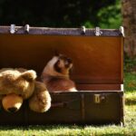 Clear the Clutter and Boost Your Bottom Line: How SEO Can Transform Your Bradenton Junk Hauling Business