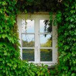 Clear the Competition: 5 Game-Changing SEO Tips for Sarasota's Window Cleaning Pros