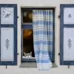 Clearing the View: The Top 5 SEO Advantages for Sarasota’s Window Cleaning Services