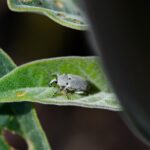 Climbing the Rankings: Why Bradenton Pest Inspectors Can't Afford to Ignore SEO in Today's Digital Landscape