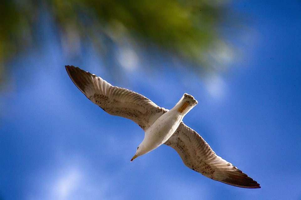 Climbing the Search Rankings: 5 SEO Strategies Every Bradenton IT Service Should Implement