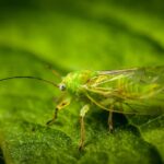 Climbing the Search Rankings: Why Sarasota Pest Inspectors Can't Ignore SEO in 2023