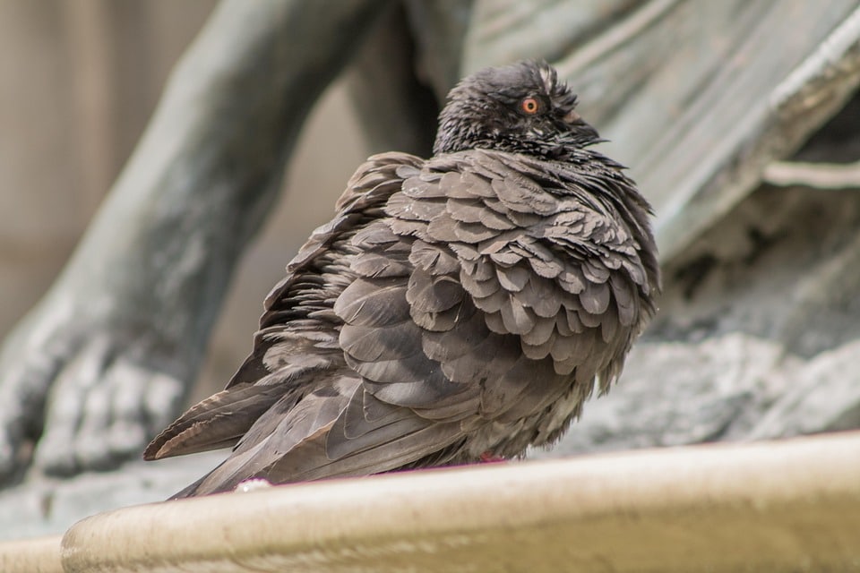 Climbing to the Top: Unlocking the SEO Secrets That Will Boost Your Gutter Cleaning Services in Bradenton