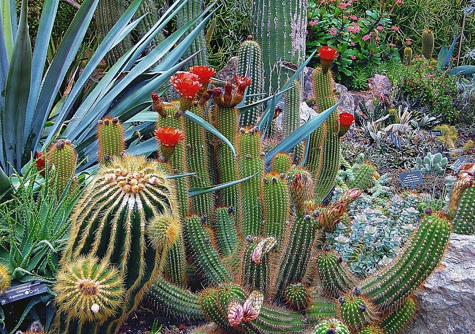 Constructing Visibility: Why Local SEO is a Game Changer for General Contractors in Bradenton