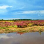 Constructing an Online Presence: The Essential Guide to SEO for Bradenton's General Contractors