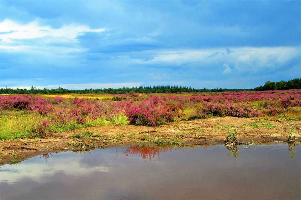 Constructing an Online Presence: The Essential Guide to SEO for Bradenton's General Contractors