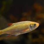 “Count on Clicks: Top PPC Strategies to Pump Up Your Small Business in Sarasota!”