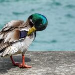 Crush the Competition: 5 SEO Techniques Bradenton Personal Trainers Can't Afford to Ignore