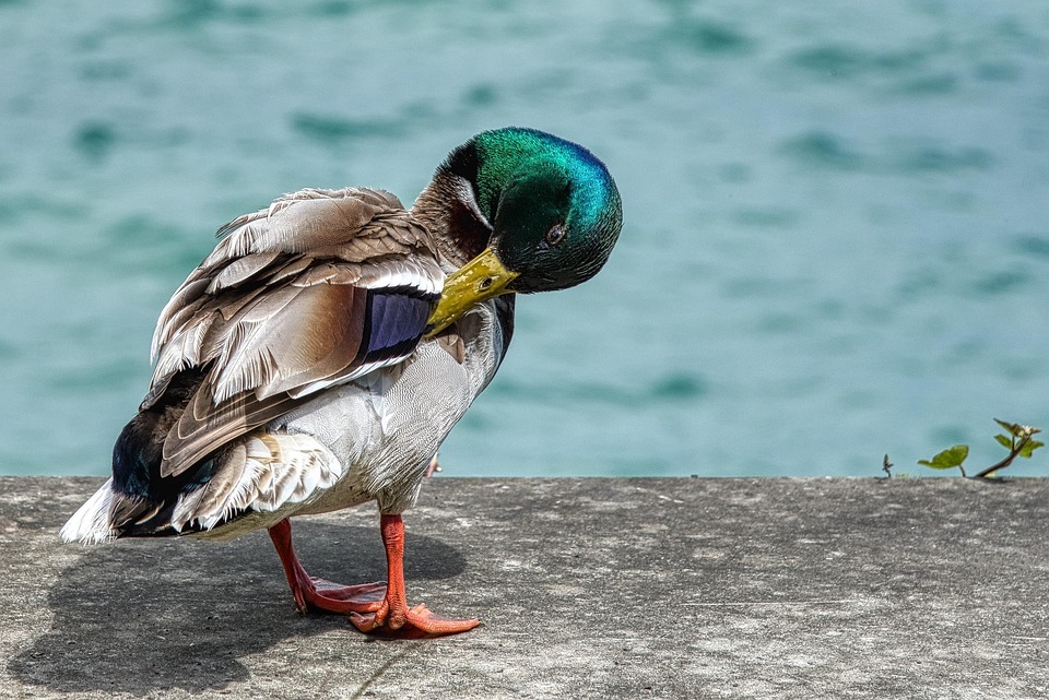 Crush the Competition: 5 SEO Techniques Bradenton Personal Trainers Can't Afford to Ignore