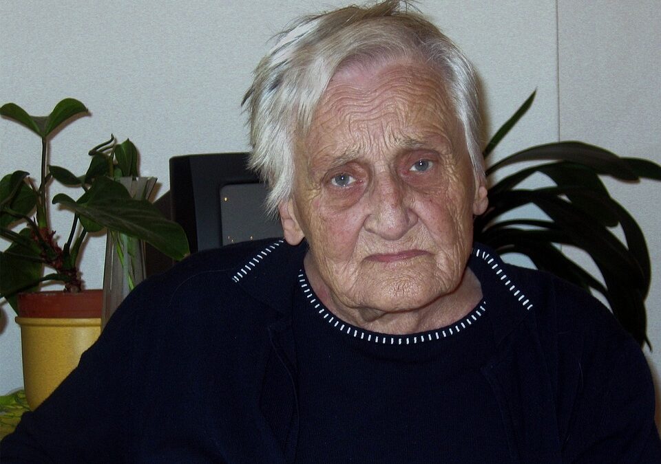 “Cultivating Success: The Benefits of PPC Advertising for Bradenton's Lawn Care Entrepreneurs”