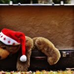 Declutter Your Competition: Why Bradenton Junk Removal Services Must Embrace SEO Today!