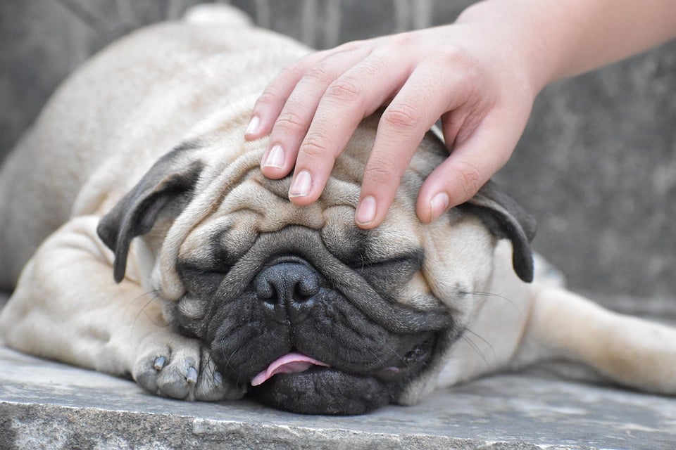 Digging Deep: The Essential SEO Guide for Small Lawn Care Businesses in Bradenton