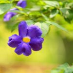 Digging Deep: The Untapped SEO Potential Every Bradenton Landscaper Needs to Know