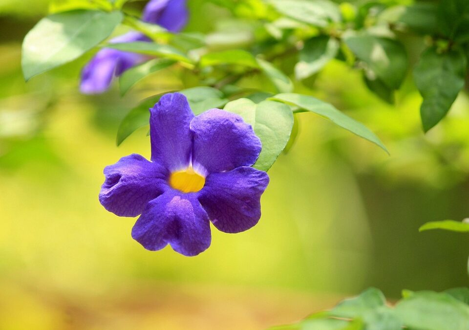 Digging Deep: The Untapped SEO Potential Every Bradenton Landscaper Needs to Know