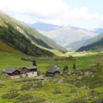 Digging Deeper: The Surprising ROI of PPC Ads for Small Land Grading Businesses in Sarasota