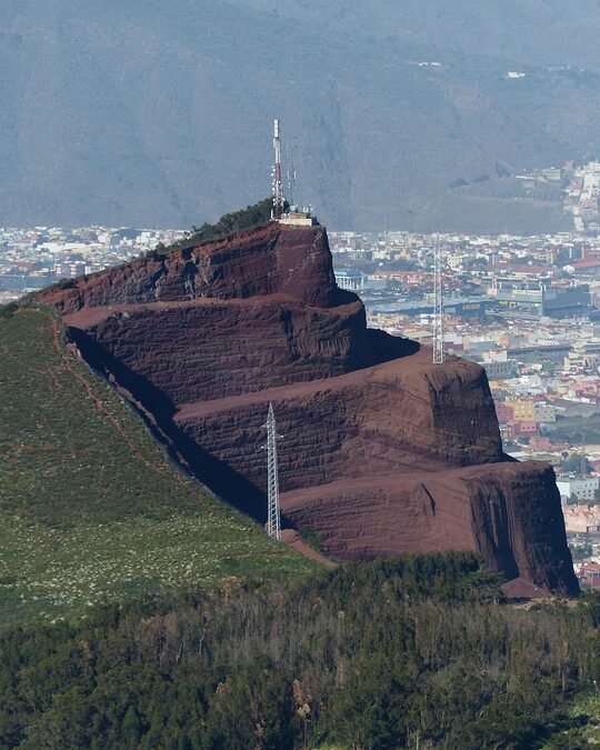 Ditch the Junk and the Guesswork: Targeted PPC Strategies for Sarasota Small Businesses