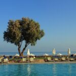 “Dive Into Digital Marketing: The Untapped Power of SEO for Sarasota Pool Cleaners”