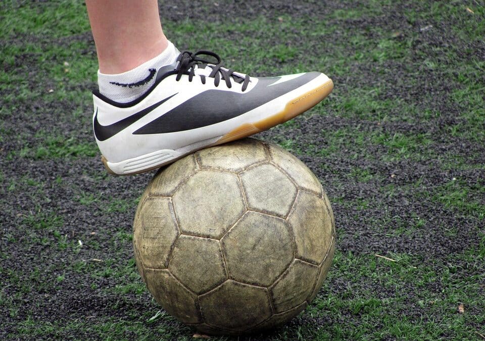 “Don’t Let Pests Win: Unlock the Power of PPC to Boost Your Bradenton Pest Control Services”