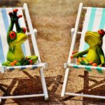 Elevate Your Deck Business: How SEO Can Transform Your Sarasota Presence!