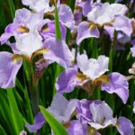 Elevate Your Sarasota Day Spa: How SEO Can Turn Local Searches into Loyal Clients