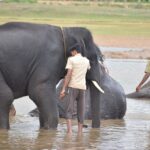 Elevate Your Service: 5 PPC Strategies to Make Your Dryer Vent Cleaning Business Stand Out in Bradenton