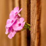 Fence Your Way to Success: The Top 5 PPC Strategies for Small Businesses in Bradenton