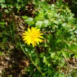 Finding Your Oasis Online: How Targeted PPC Can Transform Your Sarasota Day Spa Business