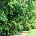 Flooded with Opportunities: How SEO Can Propel Your Sarasota Water Damage Restoration Business