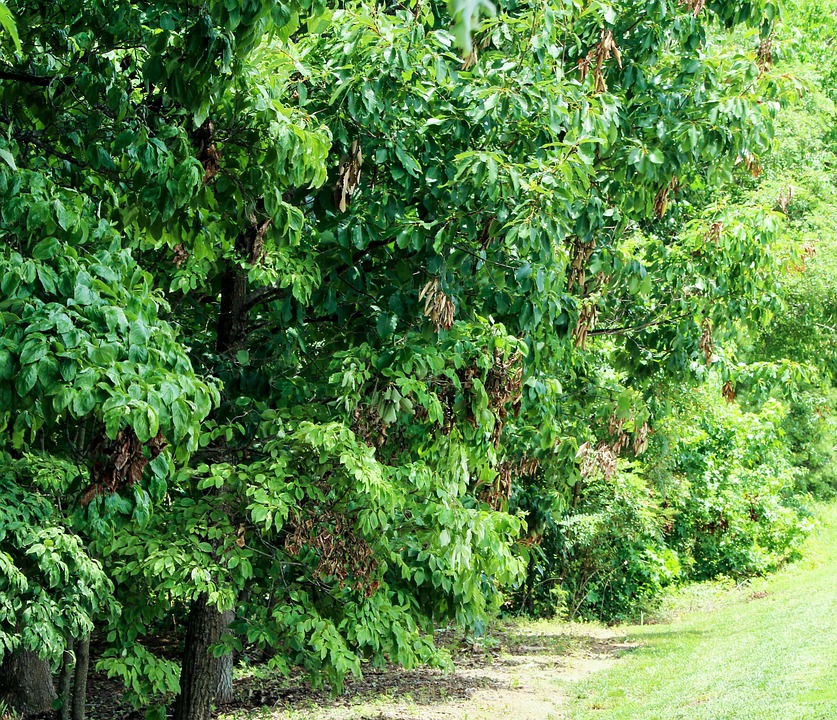 Flooded with Opportunities: How SEO Can Propel Your Sarasota Water Damage Restoration Business