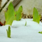 Flooded with Opportunity: How PPC Advertising Can Boost Your Bradenton Water Damage Business