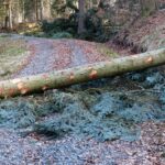 Flooding Your Leads with PPC: Harnessing Pay-Per-Click for Sarasota's Water Damage Restoration Services