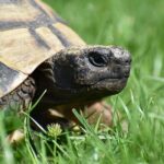 Flush Your Competition: How SEO Can Elevate Your Sarasota Septic Tank Service Business