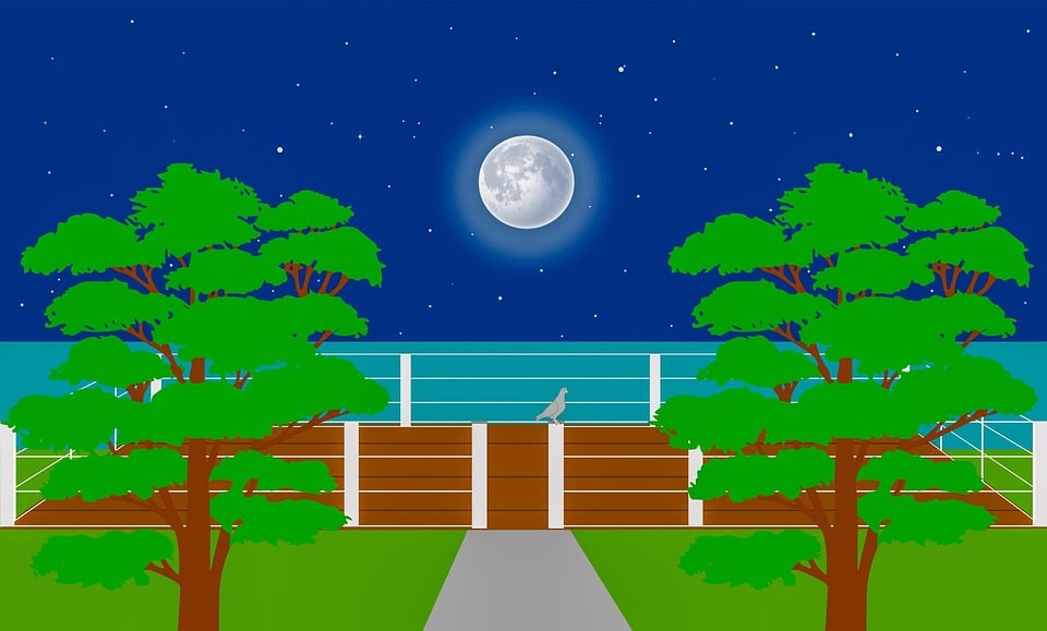 From Blueprint to Business: How Local SEO Elevates Your Sarasota Deck Builder Brand