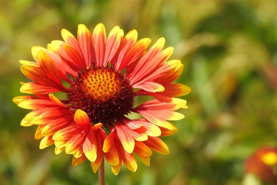 From Brush Strokes to Clicks: Transforming Bradenton Painting Businesses with SEO Strategies