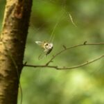 From Clicks to Clients: Harnessing PPC to Propel Your Bradenton IT Service Business Forward!