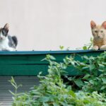 From Clicks to Clients: The Untapped Potential of PPC for Garage Door Repair Businesses in Bradenton