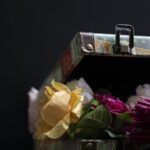 From Clicks to Closings: Maximizing Your Bradenton Packing Business with Targeted PPC Campaigns