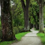 From Clicks to Contracts: The Power of PPC for Siding Contractors in Bradenton