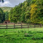 From Clicks to Customers: Leveraging PPC to Boost Your Sarasota Fence Installation Sales