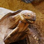 From Clogged to Clean: Transform Your Bradenton Septic Tank Services with Targeted PPC Strategies!