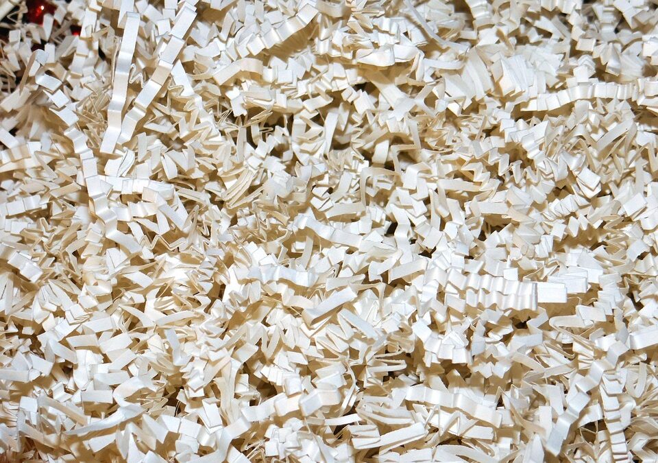 From Cluttered to Clicked: Boosting Your Sarasota Junk Hauling Business with Smart SEO Strategies