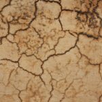 “From Dirt to Digital: Unlocking the Benefits of PPC for Small Land Grading Companies in Bradenton”