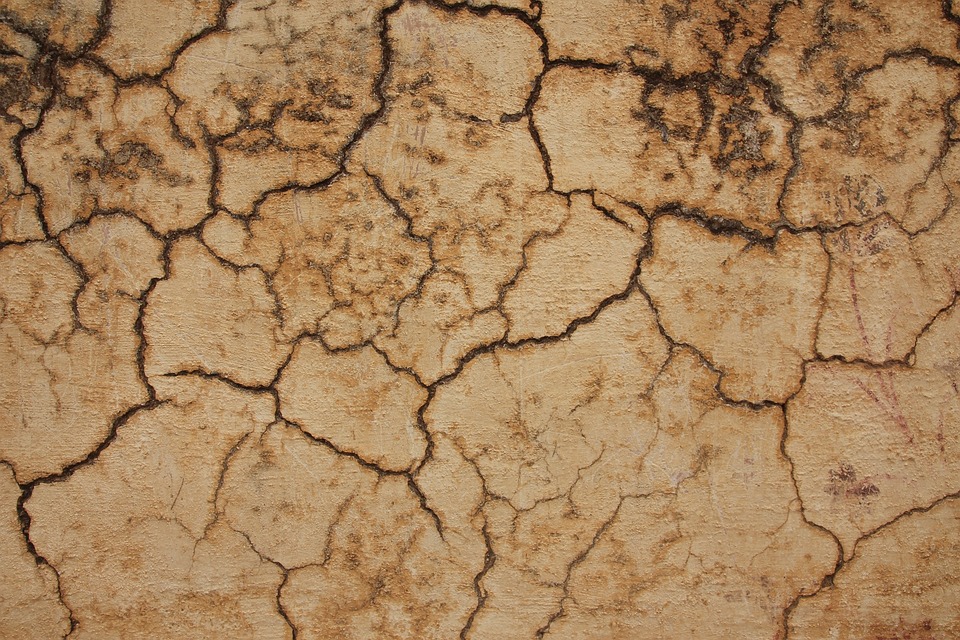 “From Dirt to Digital: Unlocking the Benefits of PPC for Small Land Grading Companies in Bradenton”