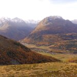 From Dirt to Dollars: How Local SEO Can Transform Your Bradenton Land Grading Business