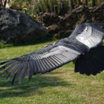From Dirt to Dollars: Unlocking the Potential of PPC for Bradenton’s Land Grading Companies