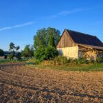From Dirt to Dollars: Why Every Bradenton Land Grader Should Invest in PPC Advertising