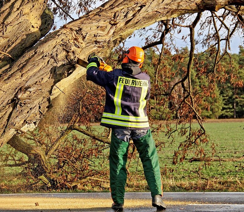 From Drenched to Distinguished: Transform Your Water Damage Restoration Business with Targeted PPC Campaigns