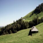 From Dust to Dollars: Unlock the Power of PPC for Your House Cleaning Service in Bradenton!