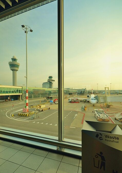 From Fetch to First Page: The Top SEO Tips for Pet Boarding Facilities in Bradenton